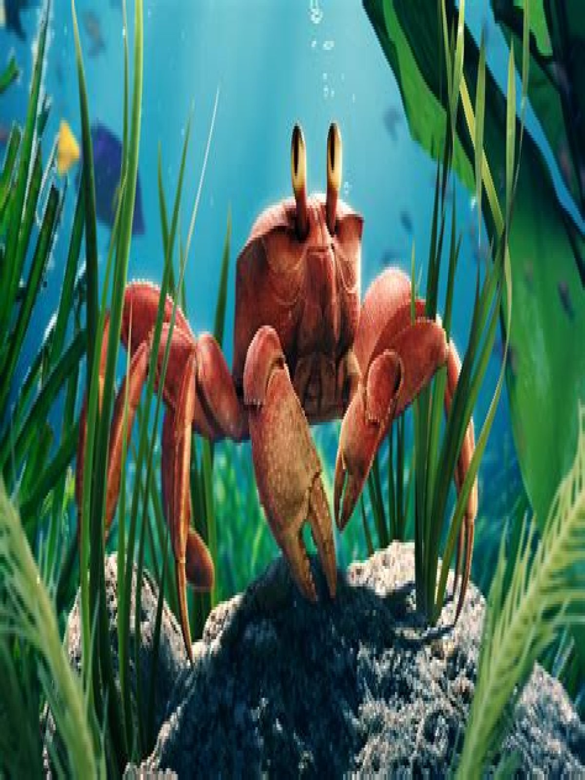 Hoe Eet Je Krab? (Best solution)
