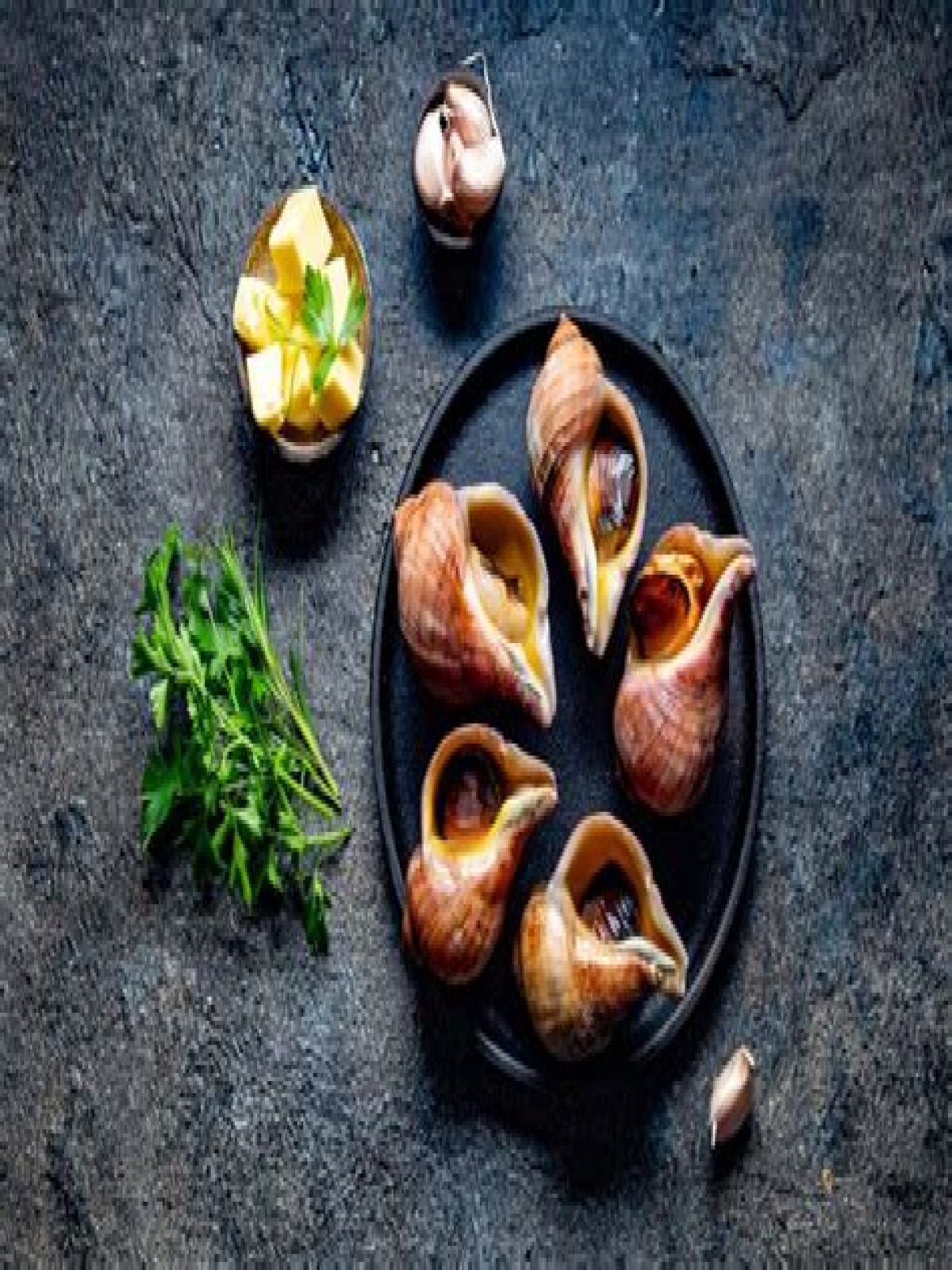 Hoe Planten Oesters Zich Voort? (TOP 5 Tips)