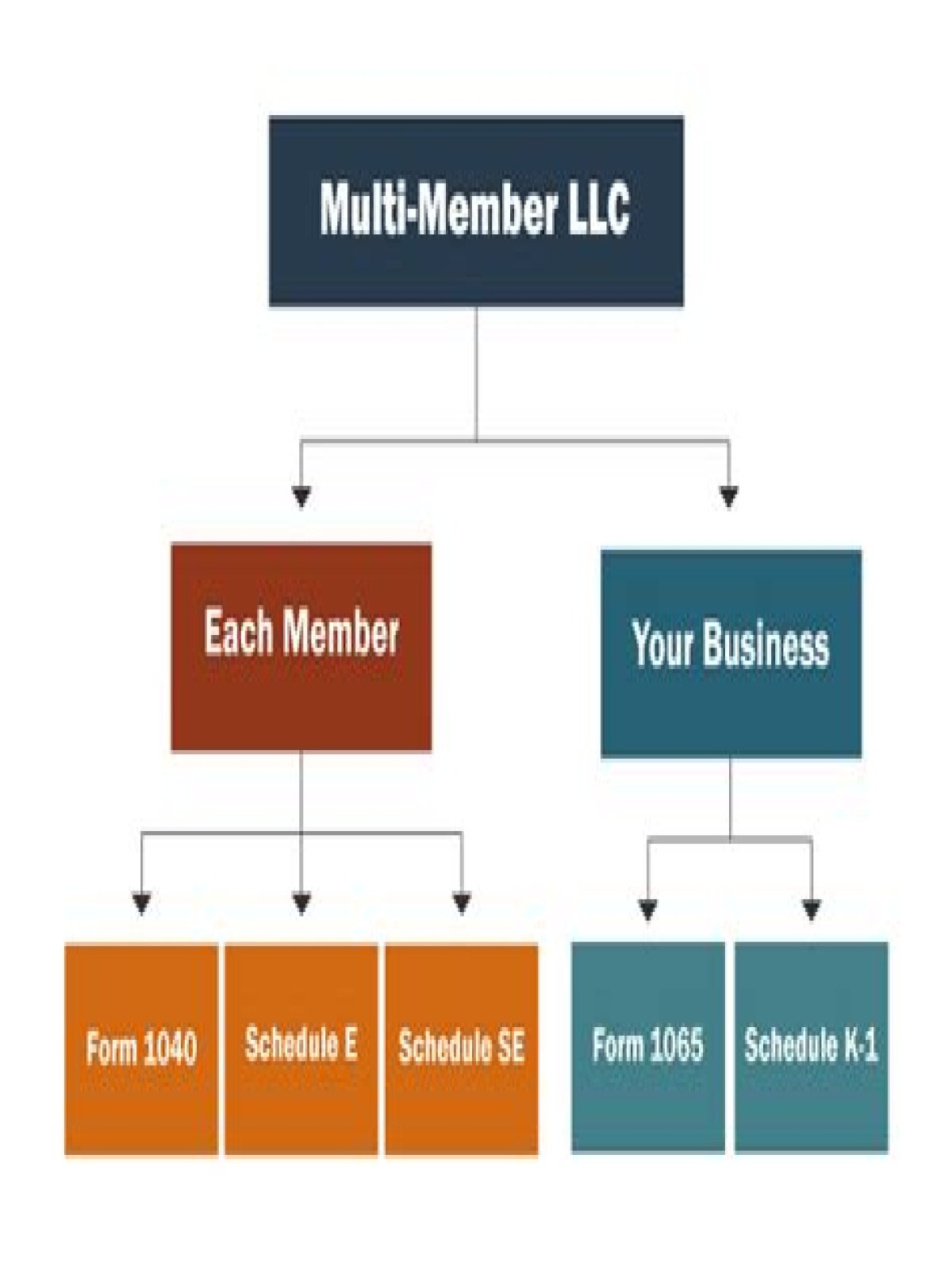 How do I file my business taxes on a multi-member LLC?