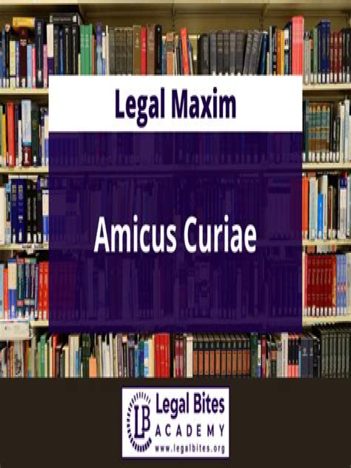 What is amicus curiae in law?