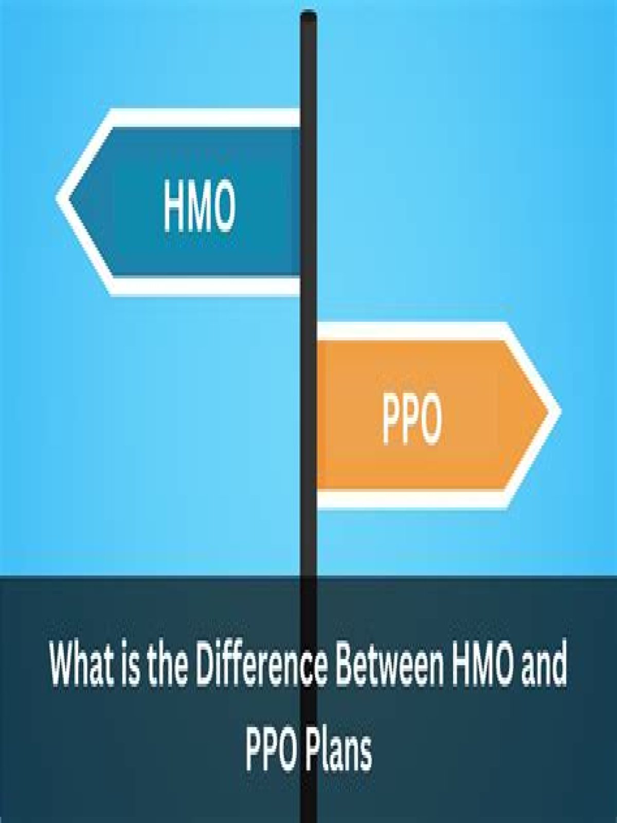 What is the difference between a PPO and a POS?