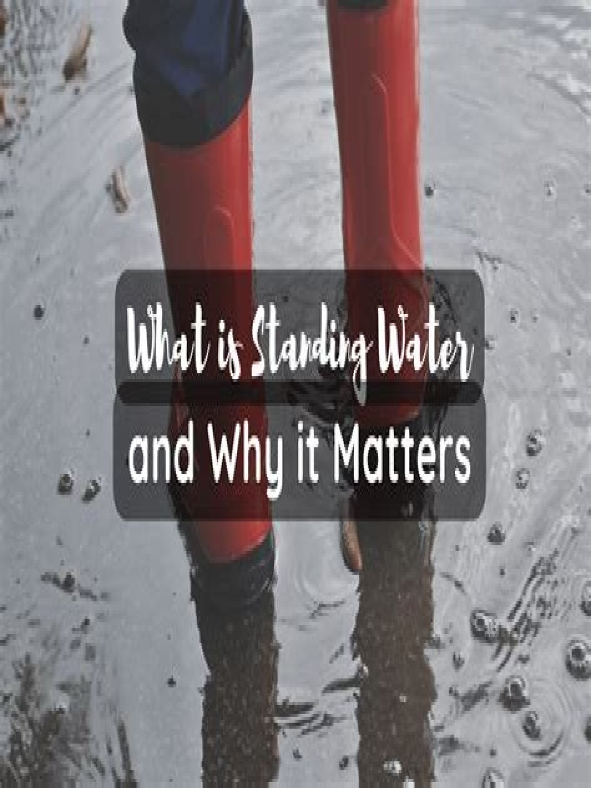 Which is standing water?