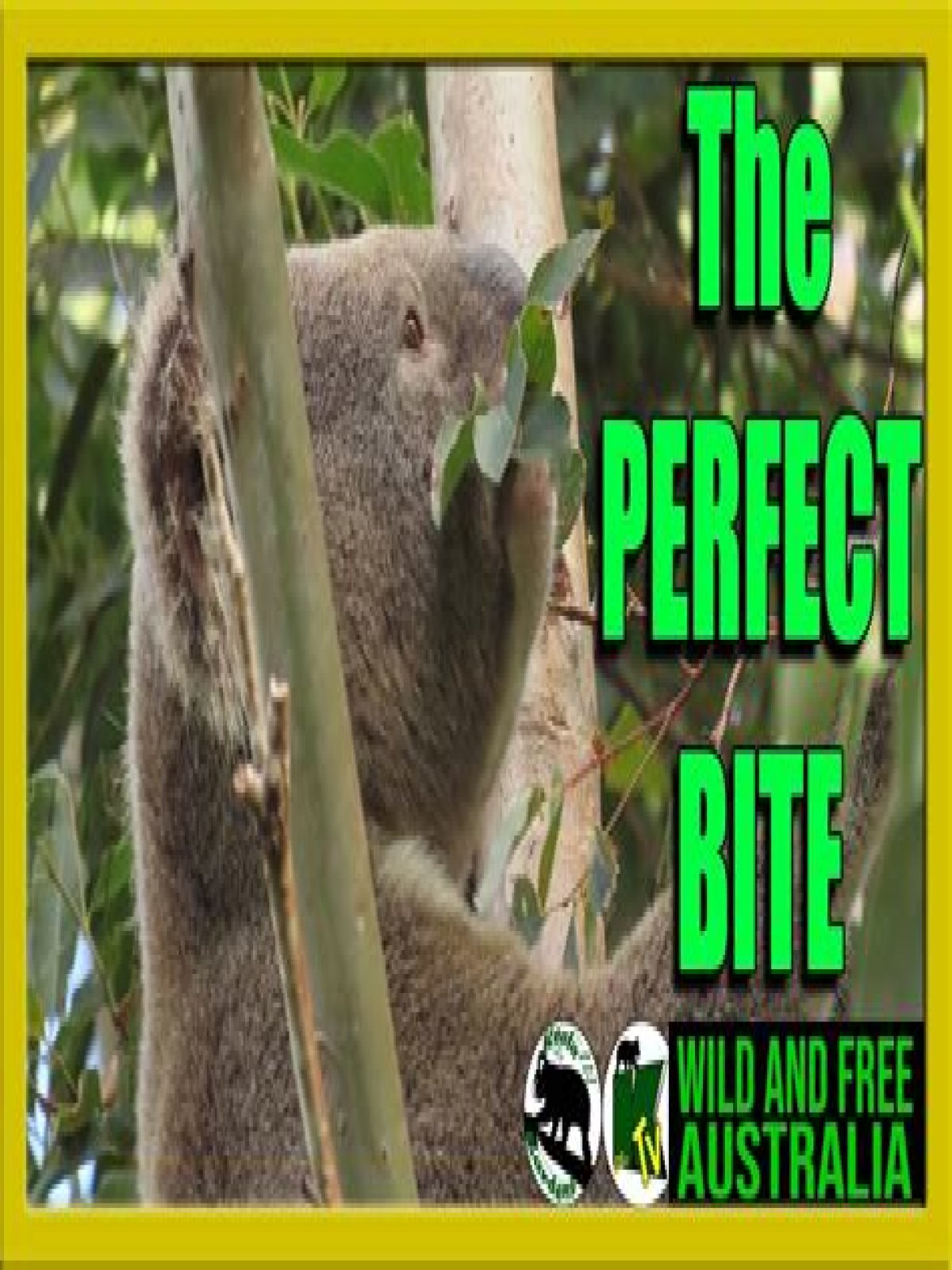 Will koala bears bite?